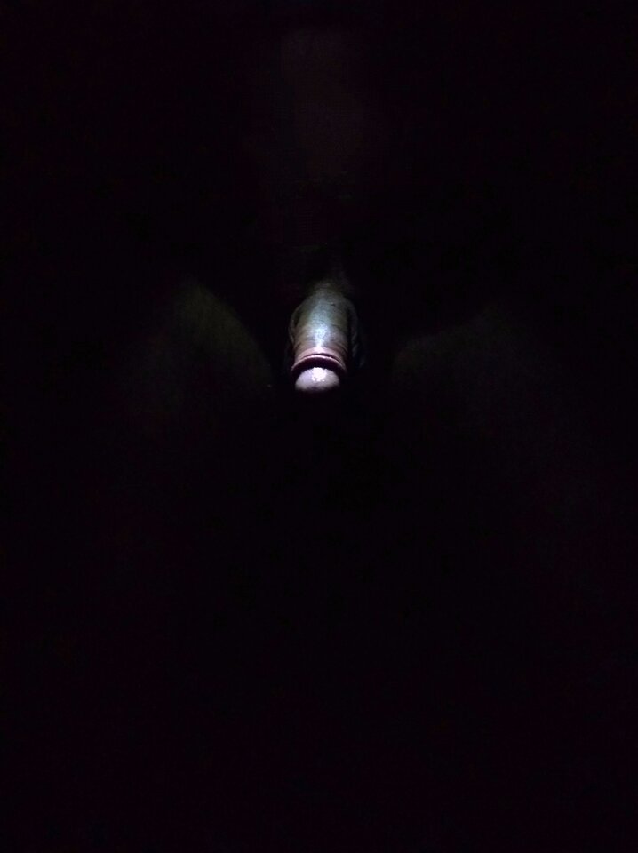 NOC - phenisex