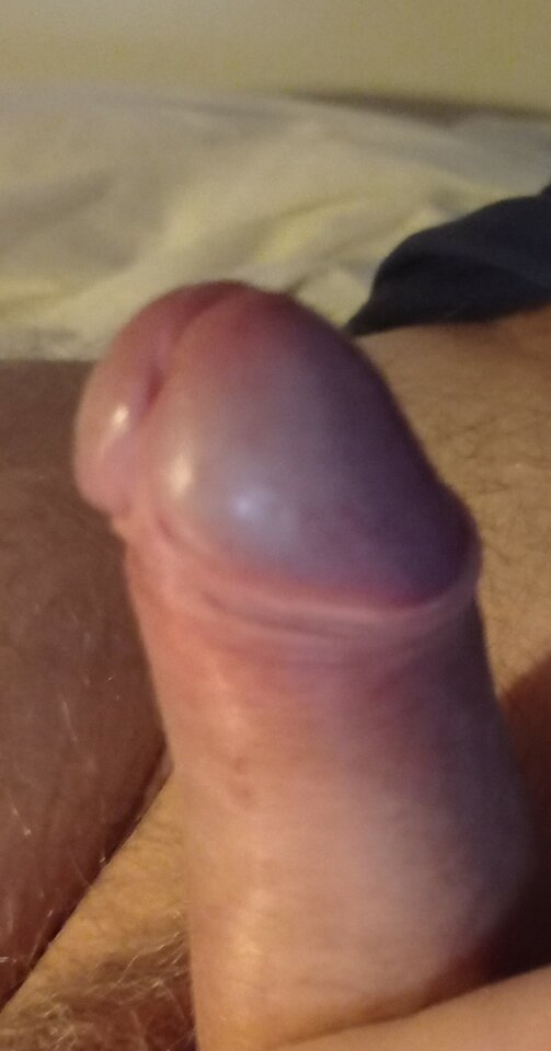 IMG_20220127_222316.jpg - ardas1