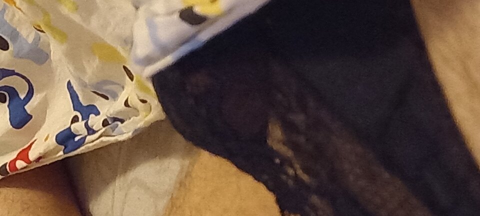 16434095846422959914850244551996.jpg - OnaIOn15cm