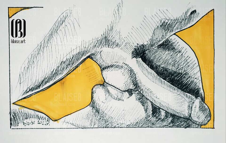 Art. No. 152 - blaise8