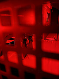 Ray Club Poznan zawsze od piątku do niedzieli !