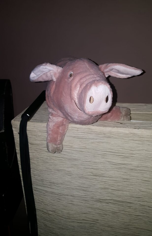 Screenshot_20220129-180807.jpg - Wolffff