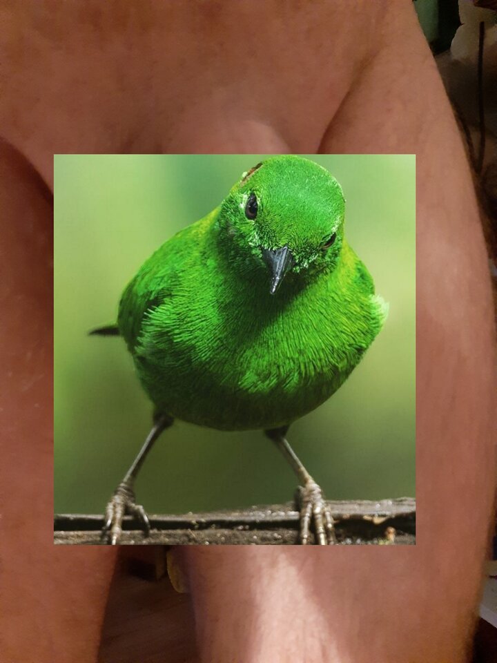 20220129_200853.jpg - 827KW