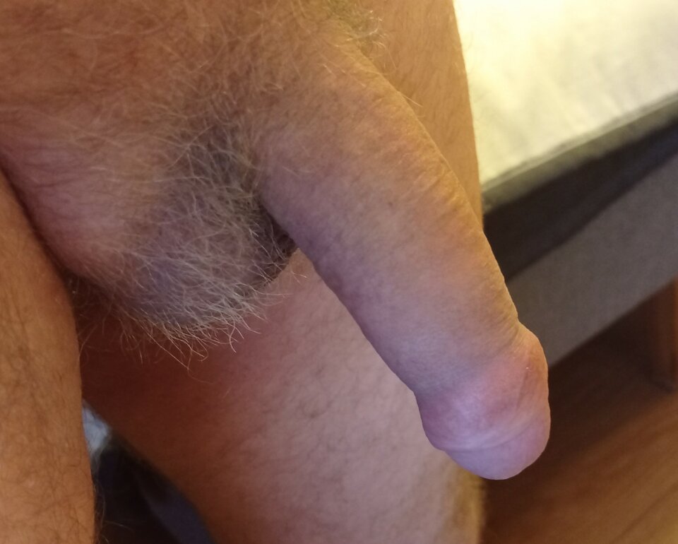 IMG_20220129_155726.jpg - ardas1