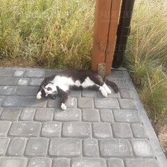 Dłużej nie wytrzymam...;))