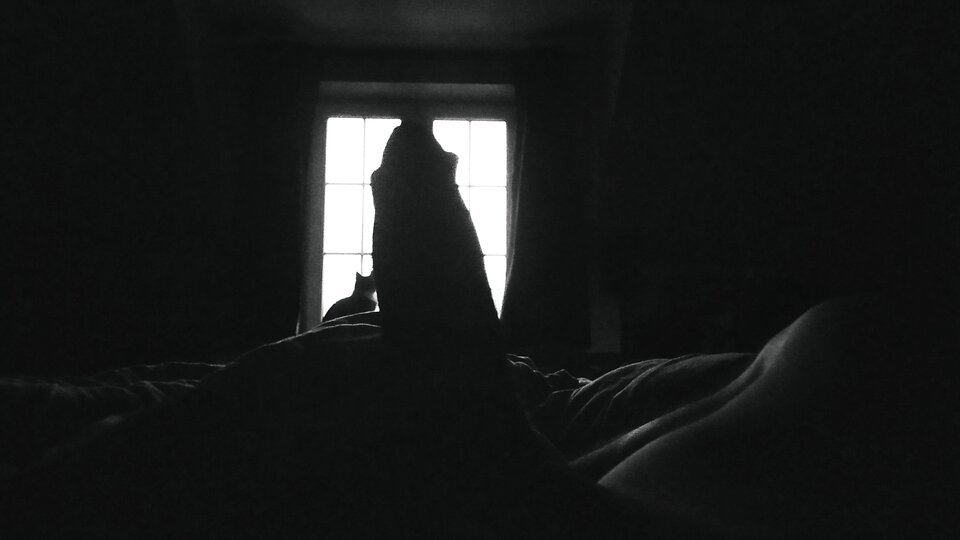 IMG_20220130_064831.jpg - LiviSertlom