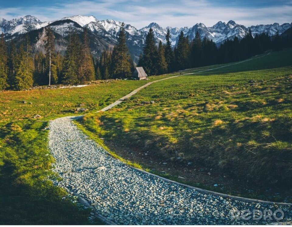 IMG_20220130_102940.jpg - makow1970