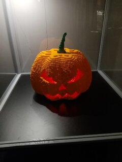 IMG_20210801_145648.jpg
