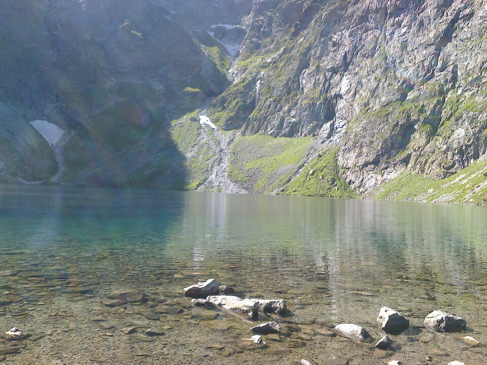 Zdjęcie2896.jpg - NUGGETSY