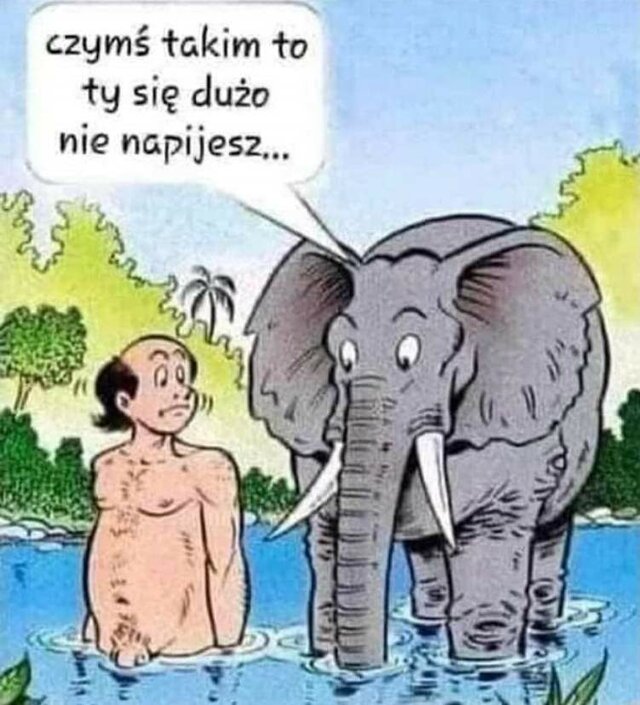 NiezbytRozgarniety