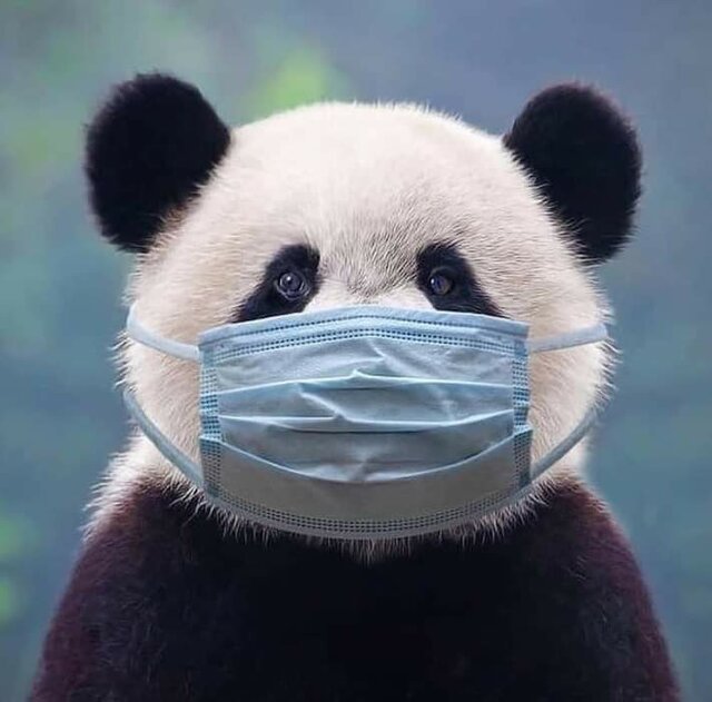 FB_IMG_1620764451095.jpg - manxman33