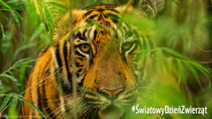 czym-jest-swiatowy-dzien-zwierzat-obchodzimy-go-4-pazdziernika-f