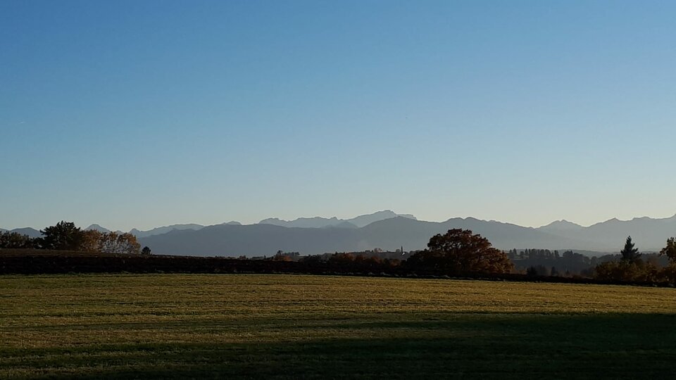 IMG-20211024-WA0005.jpg - Adi15