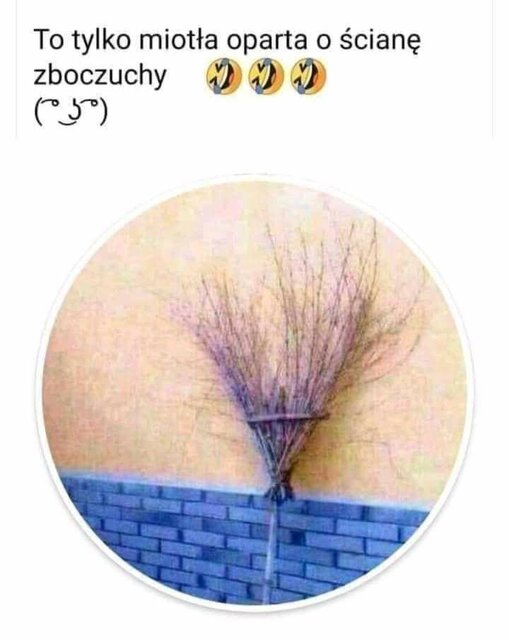 FB_IMG_1643865818895.jpg - parabi84