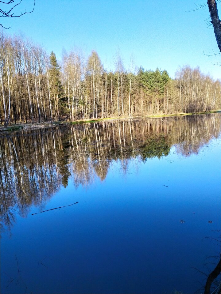 photo_editor_ds_1643923296520.jpg - Wstydliwi75