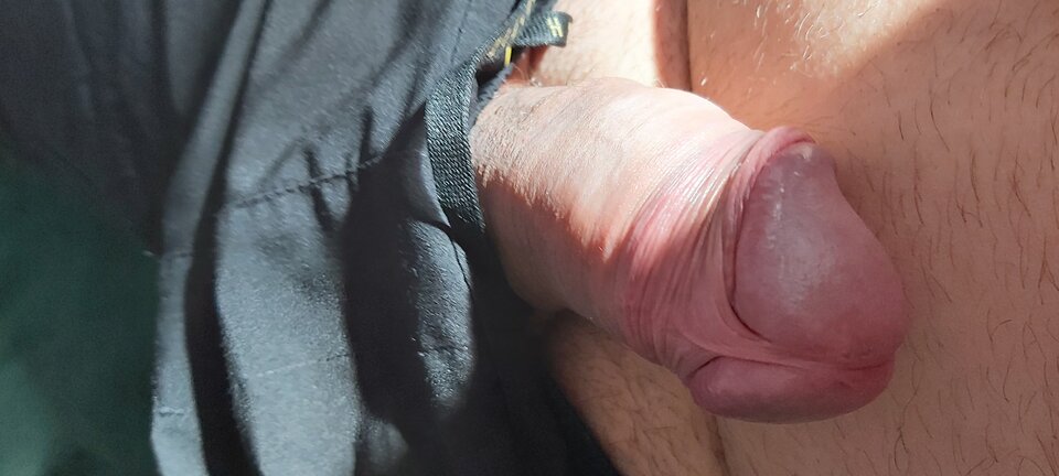 16440582943375218568021993136560.jpg - stoimiM