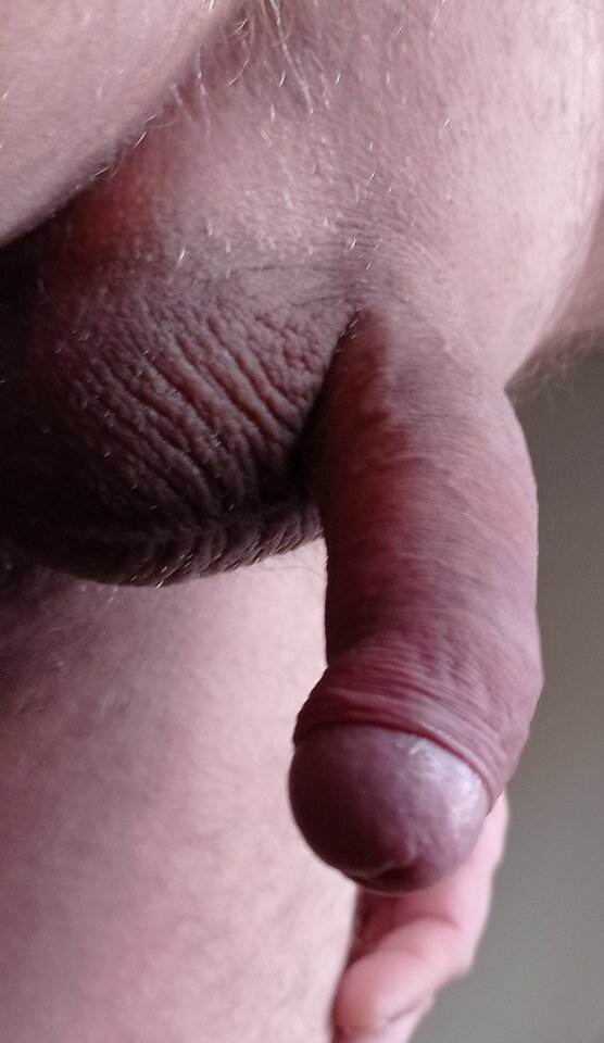 IMG_20220206_091233.jpg - ardas1