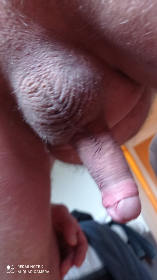 IMG_20220206_091215.jpg - ardas1