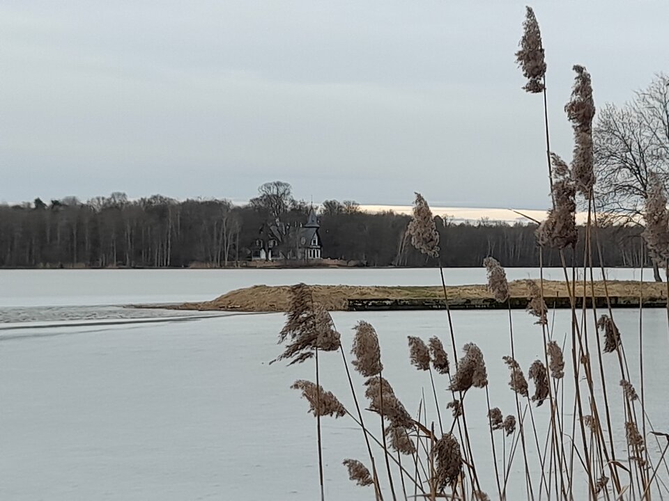 20220206_085117.jpg - Ambrozja2