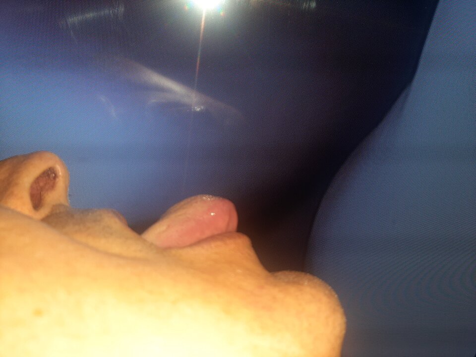 20210822_072954.jpg - czulyislodki