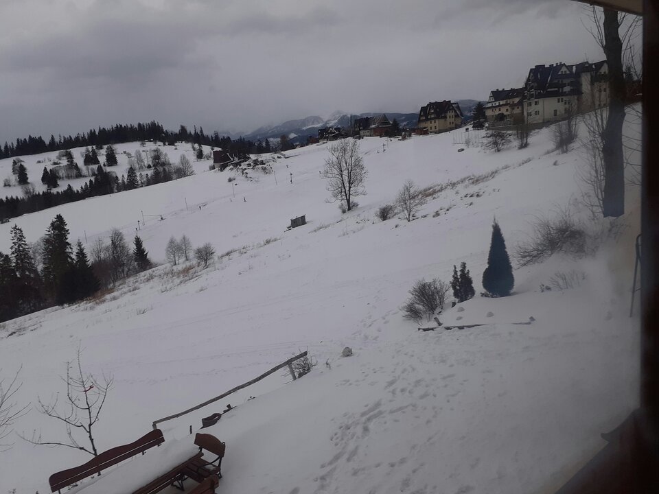 20220206_162709.jpg - 19slaw79