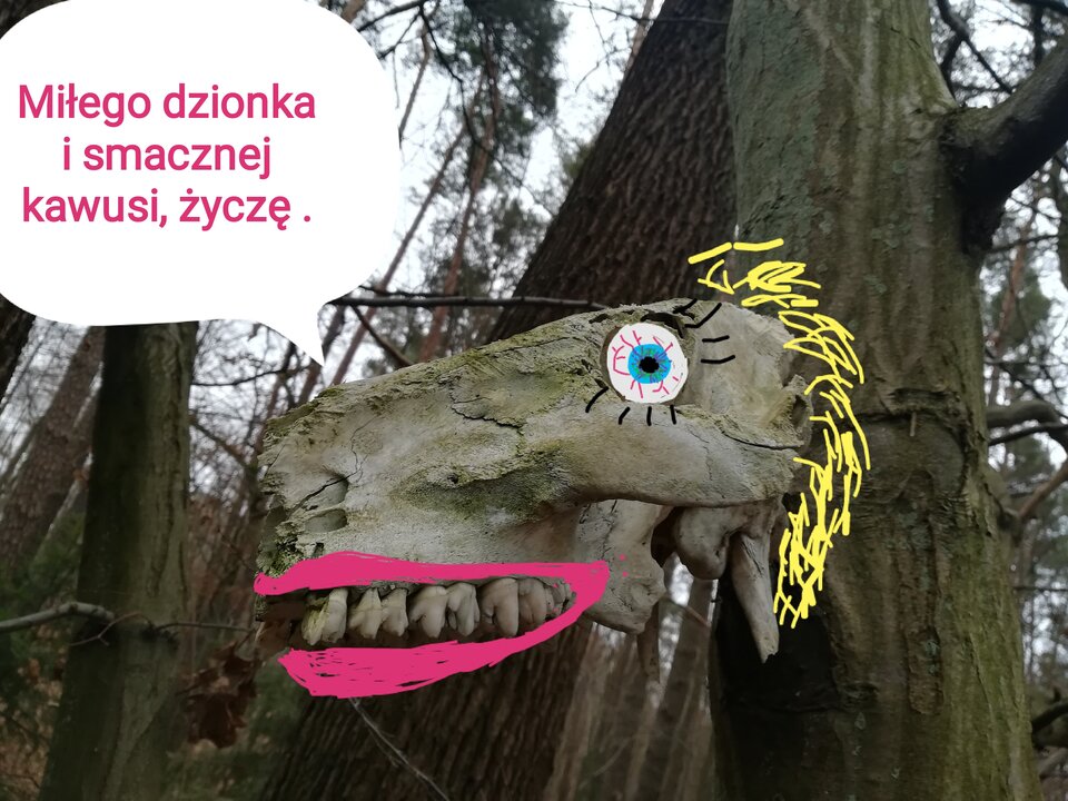 IMG_20220207_080823.jpg - LucyintheSkywithDiamond