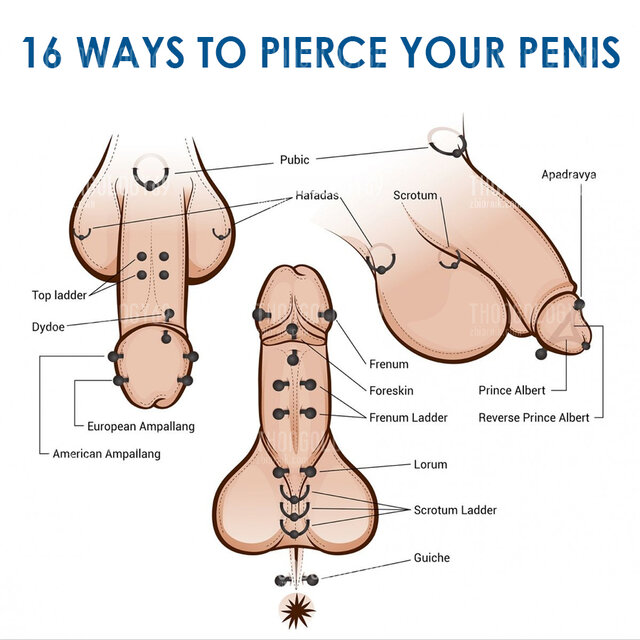 16+ways+male.jpg - thongology69