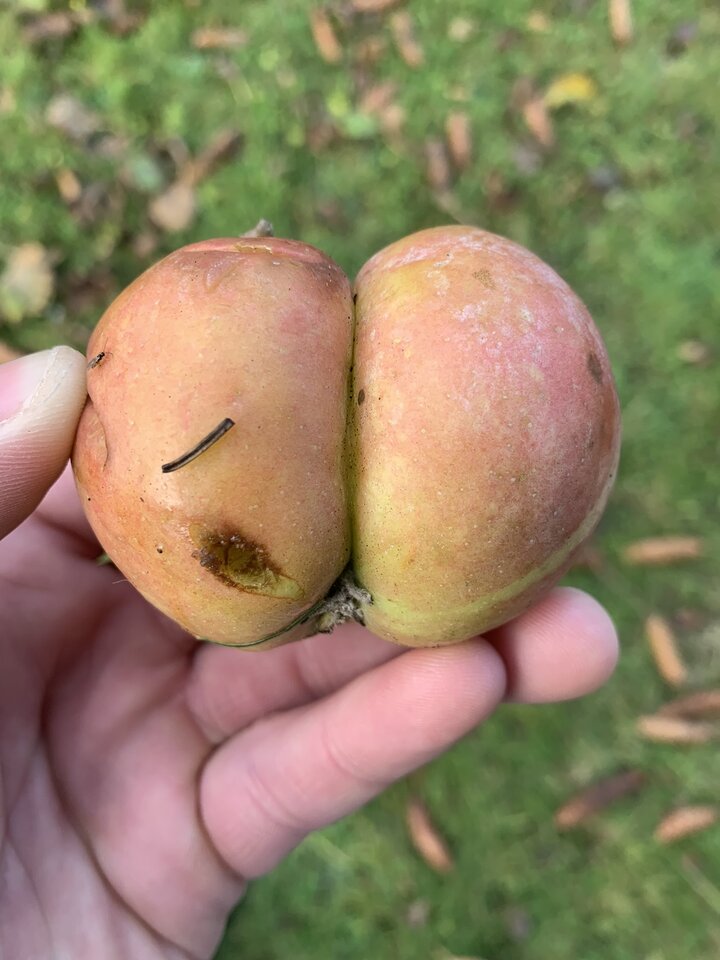 9E416BDA-CF03-4187-8139-D6F5BB2BC445.jpeg - 8My