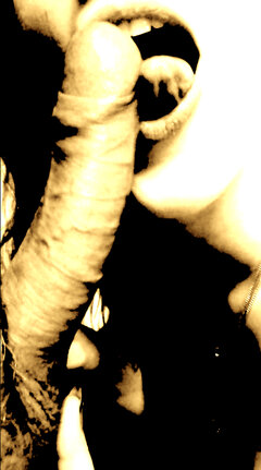 Zrzut ekranu 2023-12-8 o 02.07.54.jpg