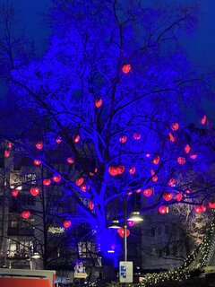IMG_9056.jpeg