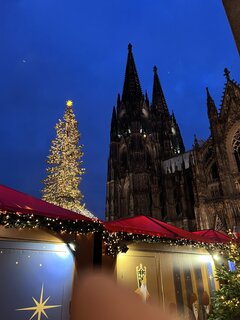 IMG_9055.jpeg