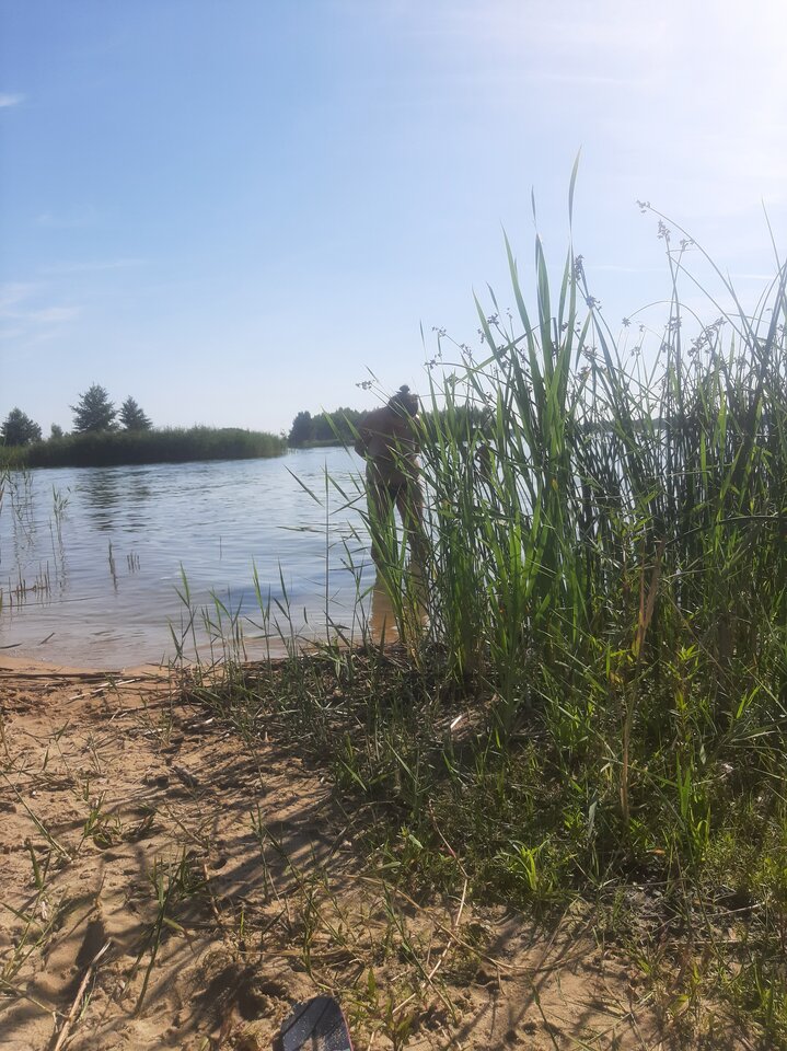 20230812_160851.jpg - Whisky_Pepsi