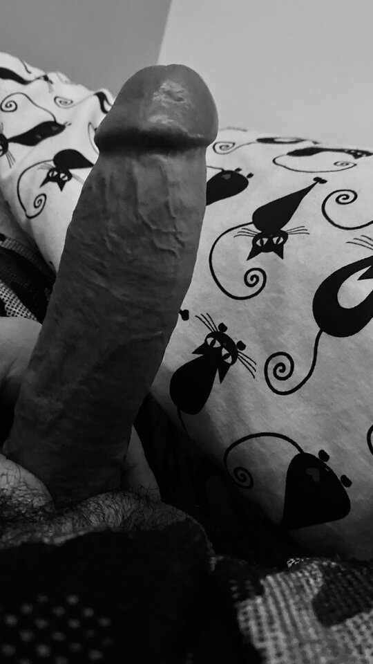 IMG_1273.jpeg - bondjames728