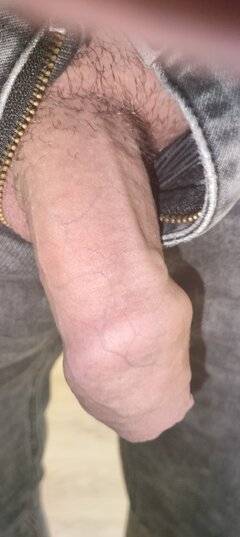 1702967653200230346910731239076.jpg