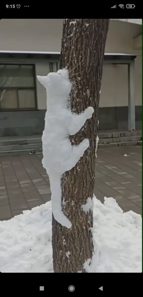 Screenshot_2023-12-16-09-15-54-904_com.instagram.android.jpg - Nicci