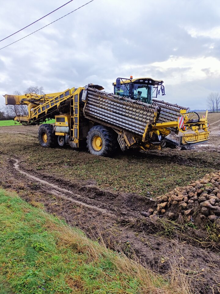 IMG20231220120528.jpg - hypns