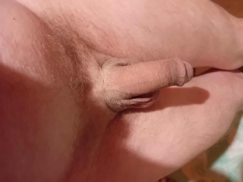 20231220_051644.jpg - brus13