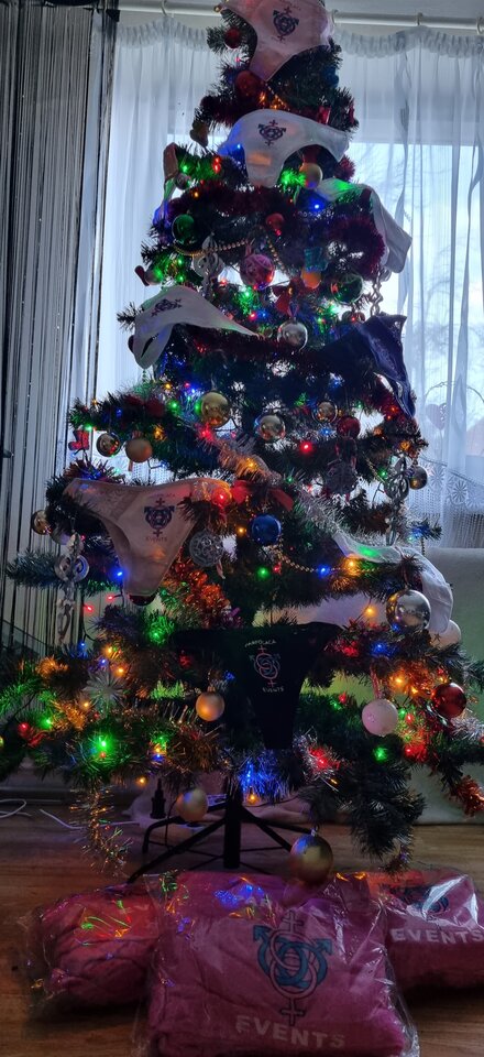 20231222_131859.jpg - parpolaca