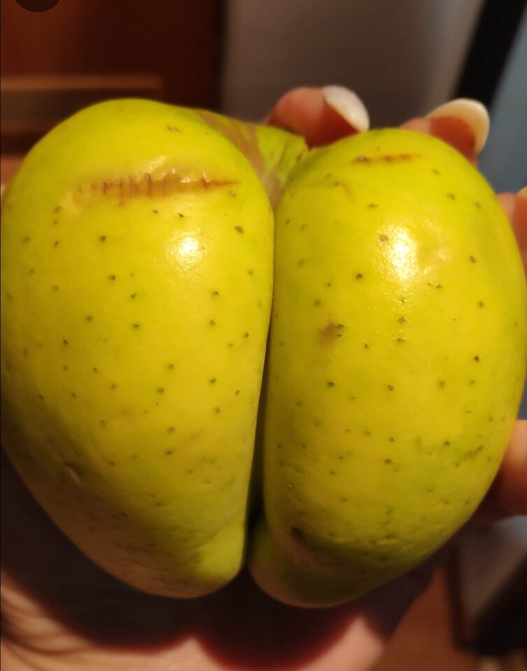 IMG_20231222_152526.jpg - Nicci