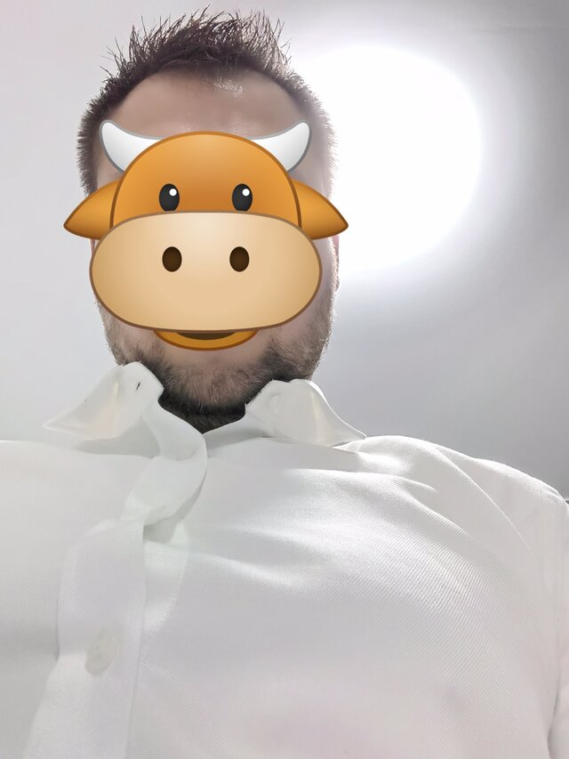 twardy555