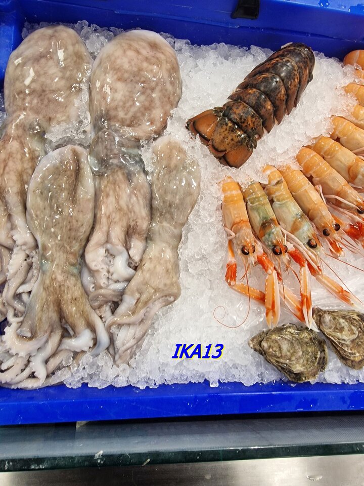 20231221_190313.jpg - ika13