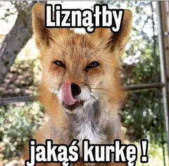 FB_IMG_1703425329514 (1).jpg