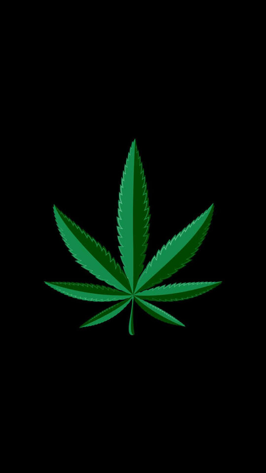 cannabis-leaf-pictures-1kysx5hv7tljidgf.jpg - Czaku666