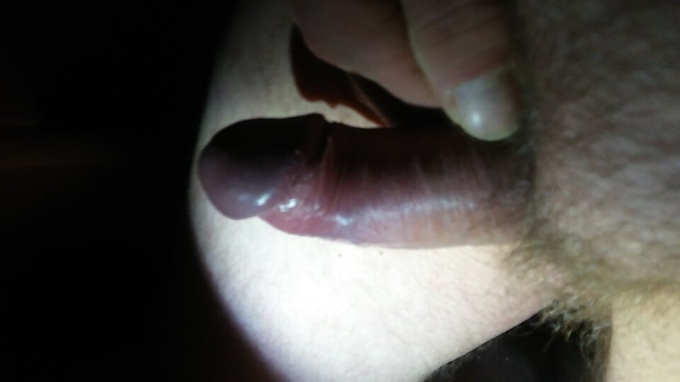20231224_002235.jpg - pawelik334