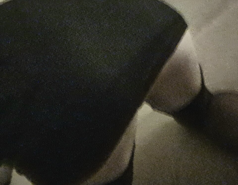 20231221_052107.jpg - kasiawrajstopach