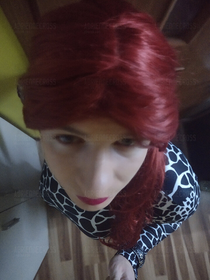 IMG_20231225_195727.jpg - Adriennecross