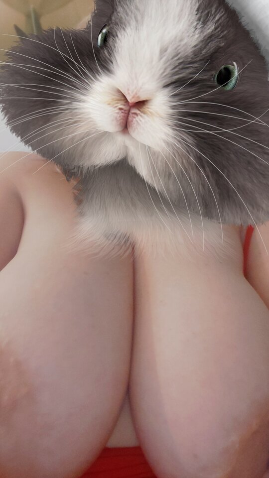 20231225_081751.jpg - BozenaW