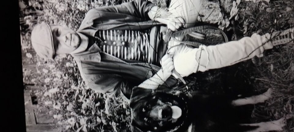 1000003743.jpg - Dzikidzik2379