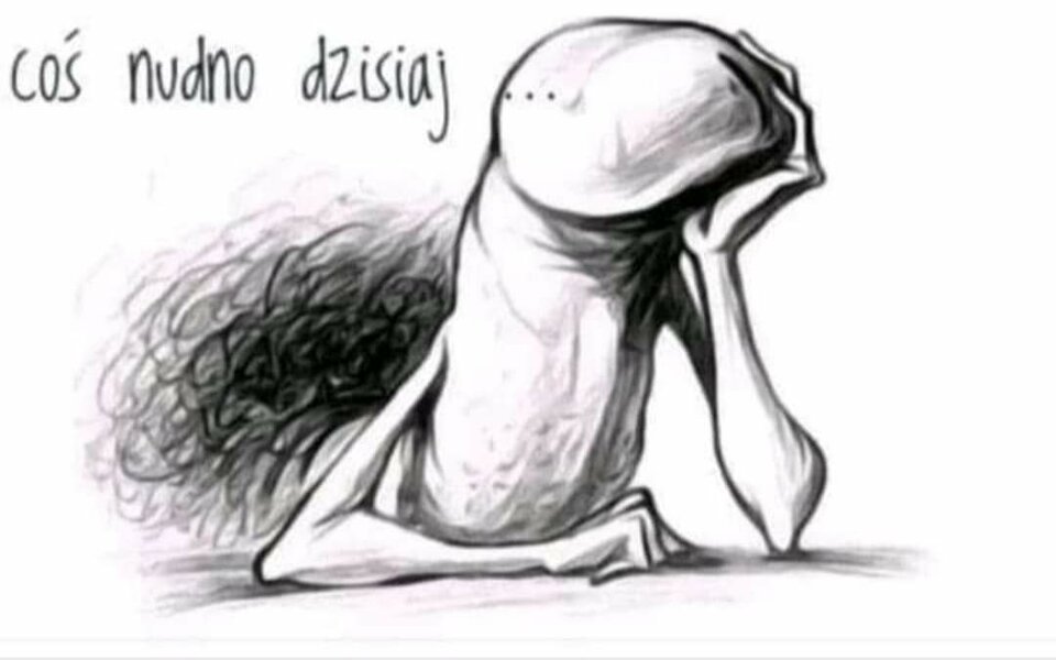 FB_IMG_1703415005448.jpg - DikusBigus