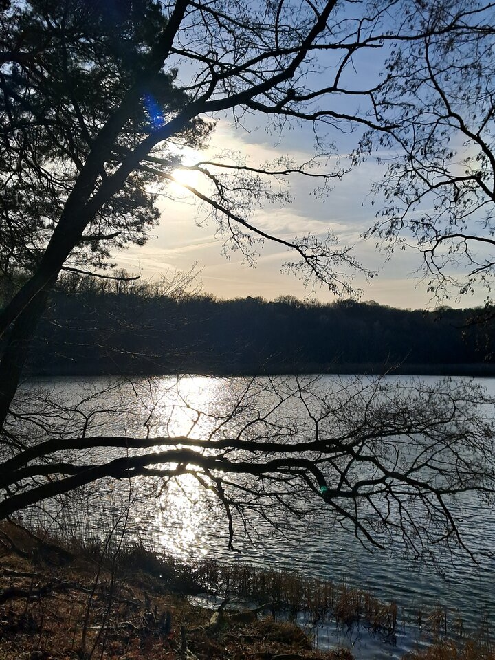 1000012031.jpg - mmrruum